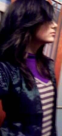 lav... - lav - �Photos�